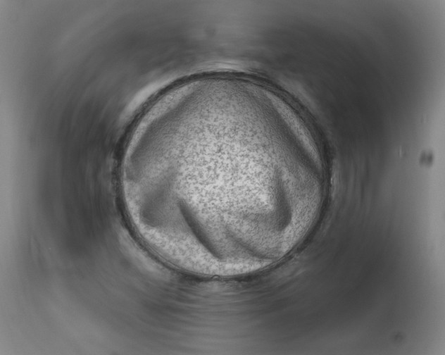 X0000112421404200909041401