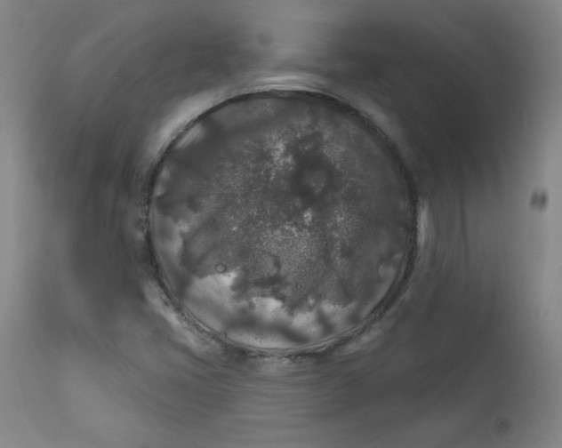 X0000112421405200909041401