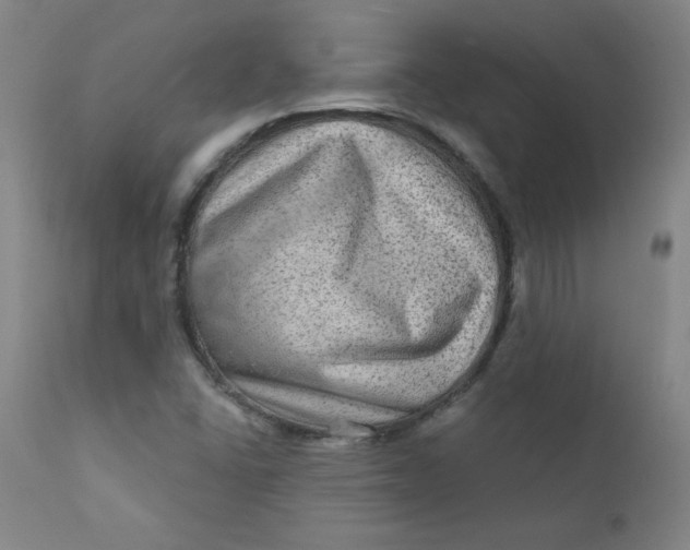 X0000112421406200909041401