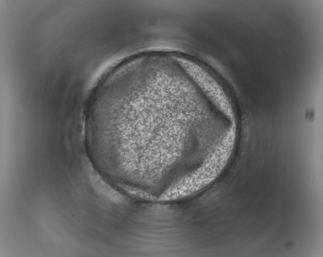 X0000112421408200909041402