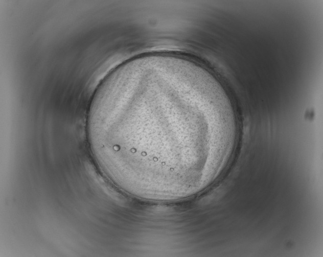 X0000112421409200909041402