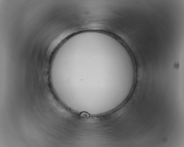 X0000112421410200909041402