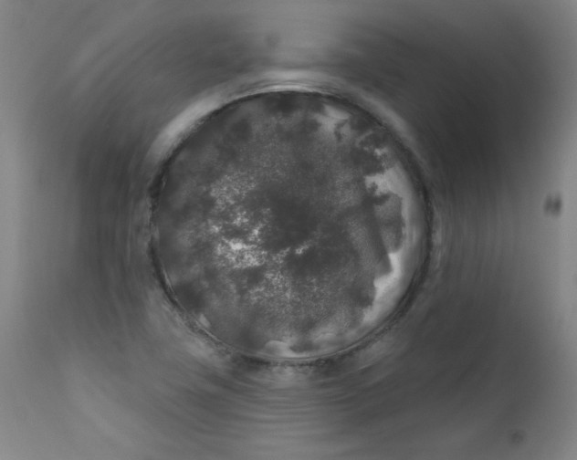 X0000112421411200909041402