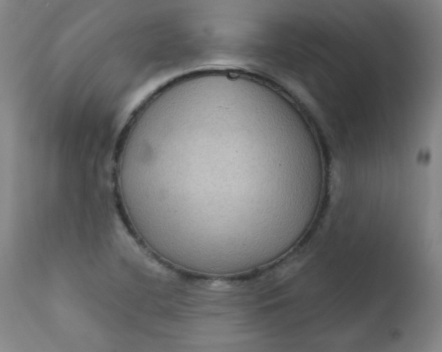 X0000112421412200909041402