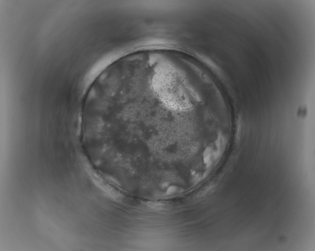 X0000112421413200909041402