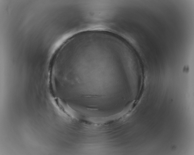 X0000112421414200909041402