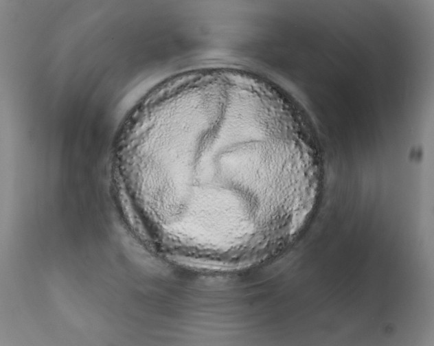 X0000112421415200909041402