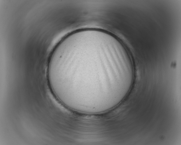 X0000112421416200909041402