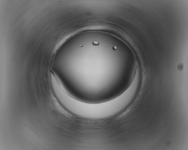 X0000112421417200909041402