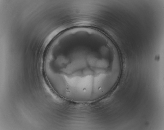 X0000112421418200909041402