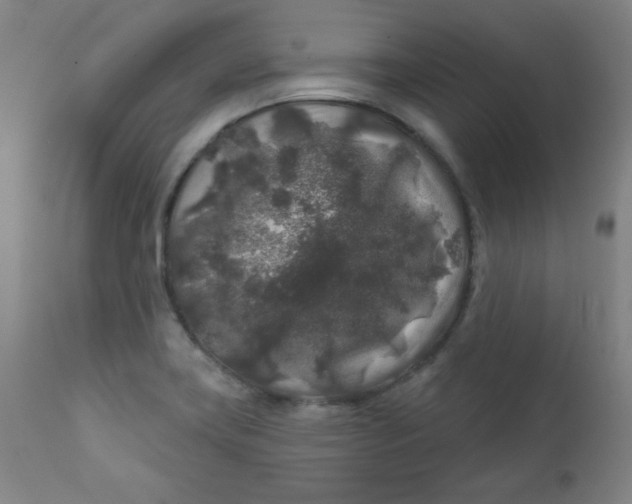 X0000112421419200909041402