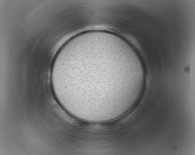 X0000112421420200909041402