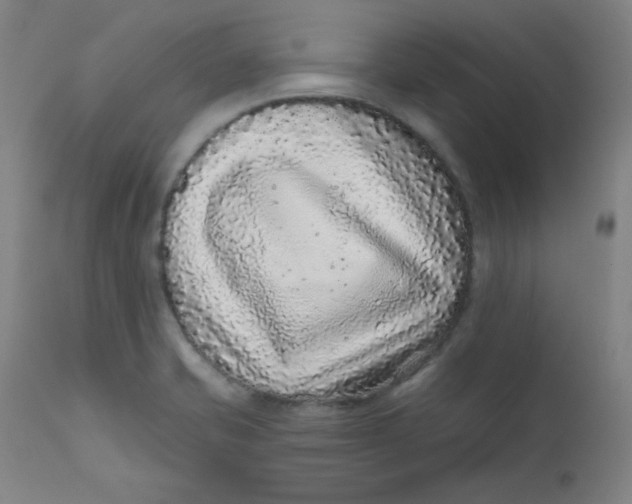 X0000112421421200909041402