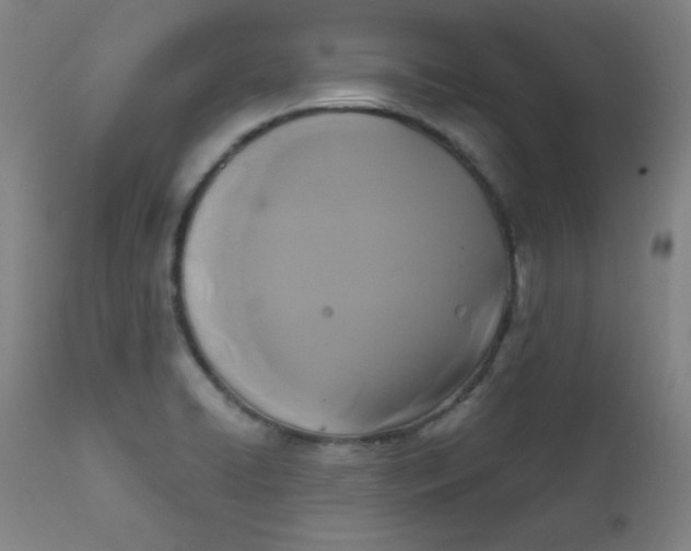 X0000112421422200909041402