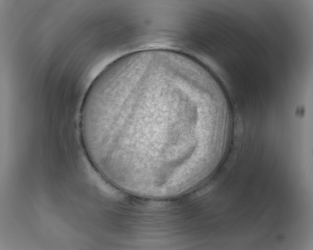 X0000112421423200909041402