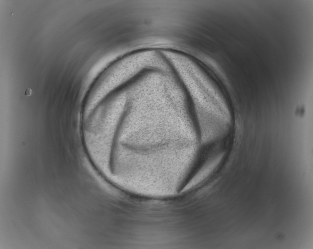 X0000112421424200909041402