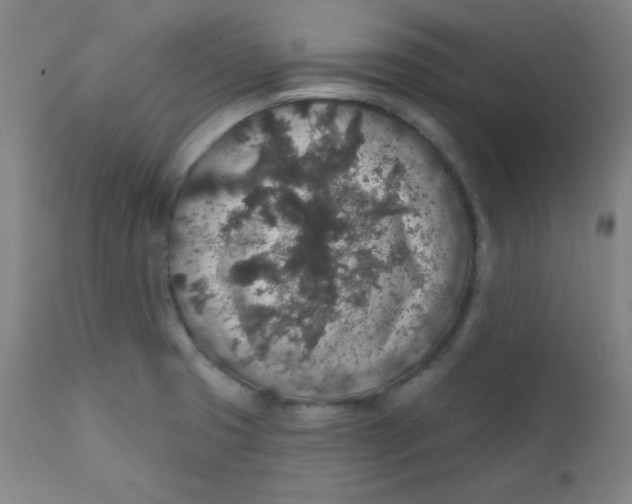 X0000112421425200909041402