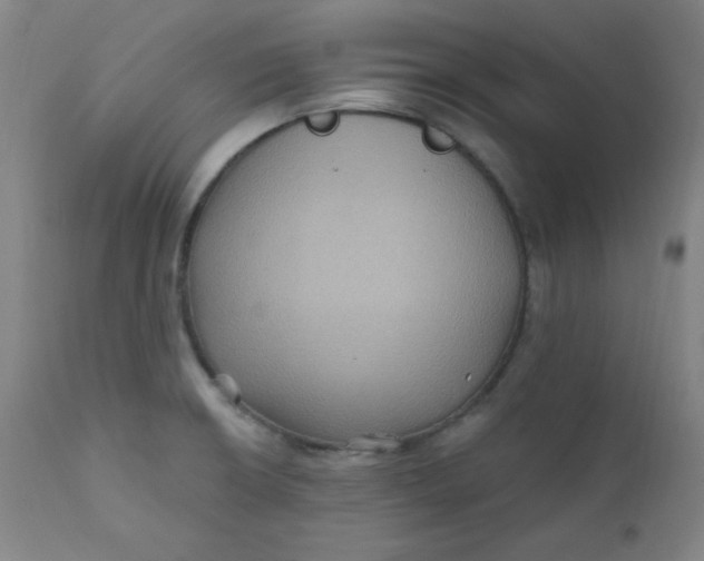 X0000112421426200909041402