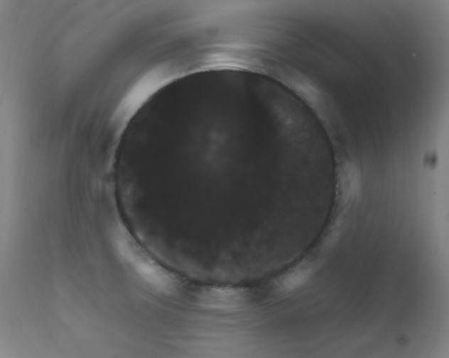 X0000112421427200909041402