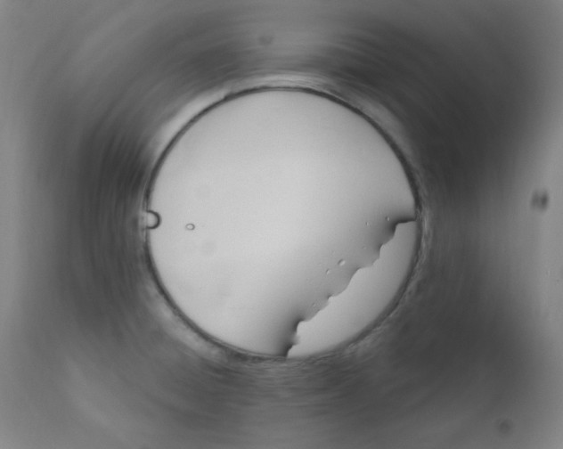 X0000112421428200909041402