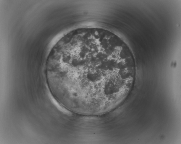 X0000112421429200909041402