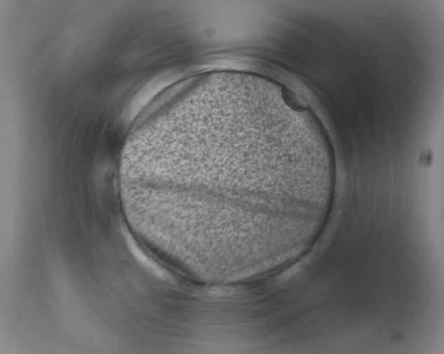 X0000112421433200909041402