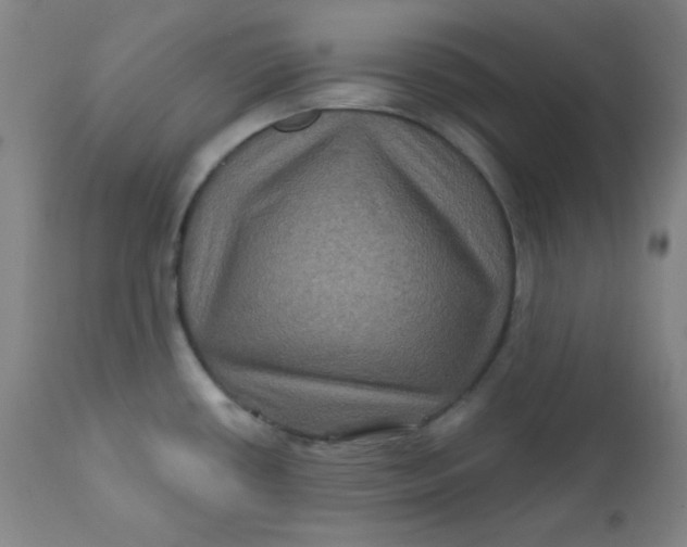 X0000112421434200909041402