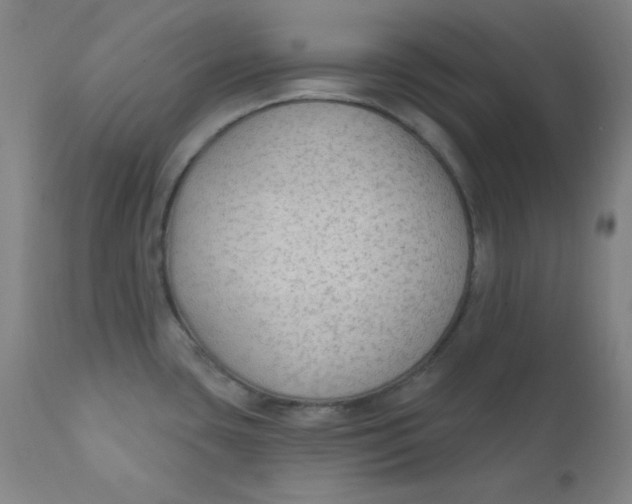 X0000112421435200909041402