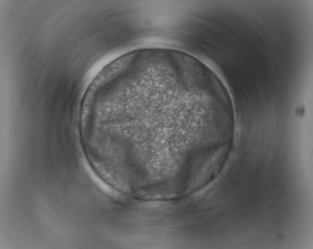 X0000112421437200909041402