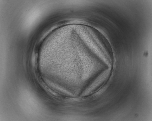 X0000112421438200909041402