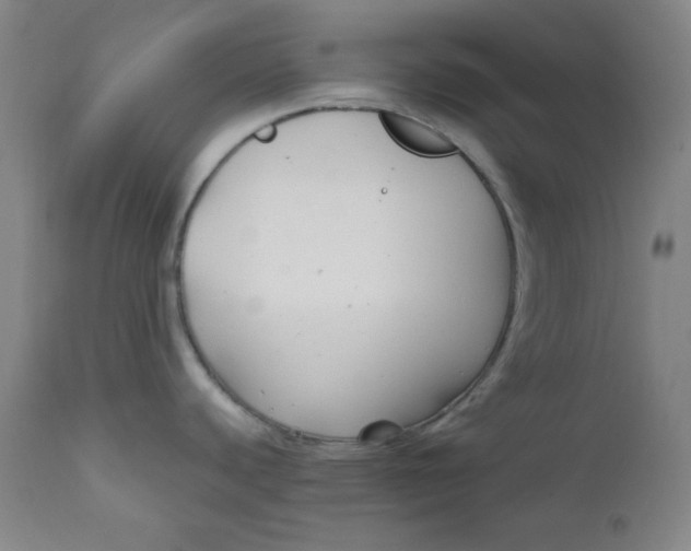 X0000112421440200909041402