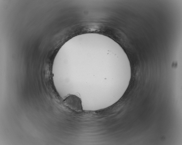 X0000112421442200909041401