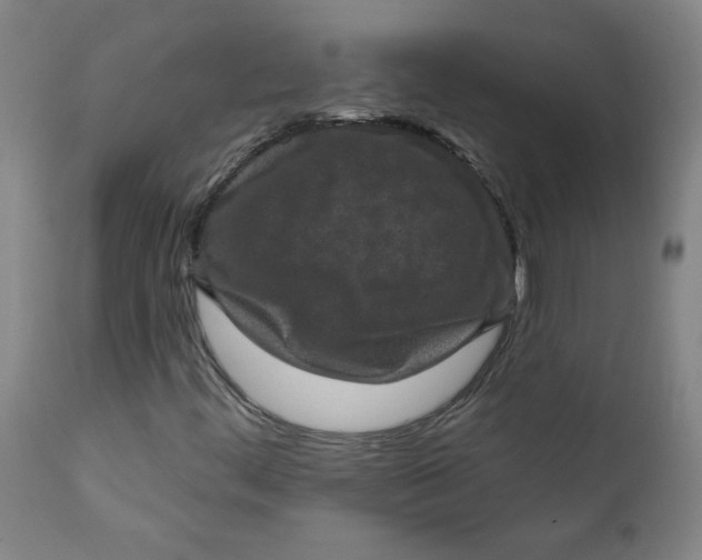 X0000112421444200909041401