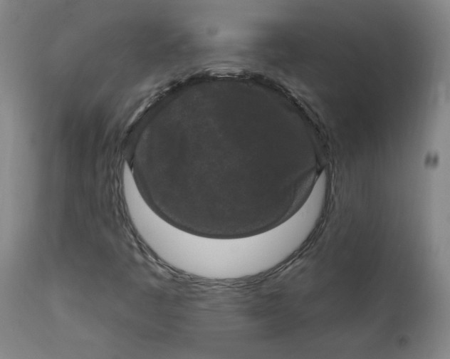 X0000112421445200909041401