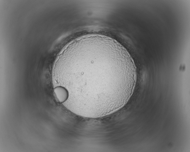 X0000112421446200909041401