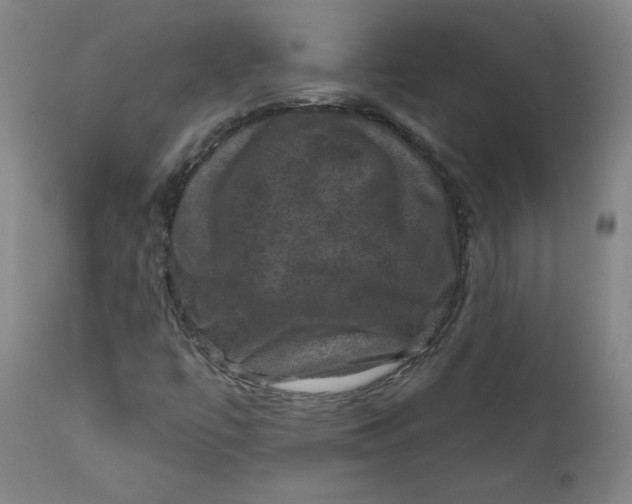 X0000112421447200909041401