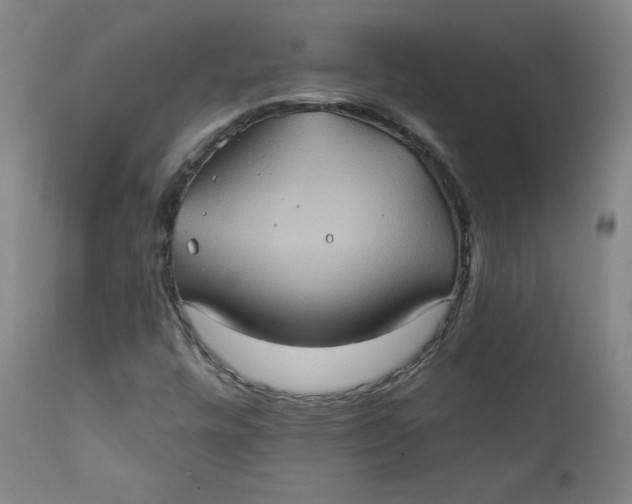 X0000112421448200909041401