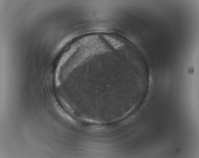 X0000112421450200909041401