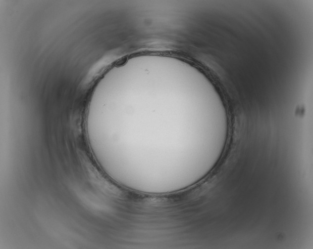 X0000112421451200909041401