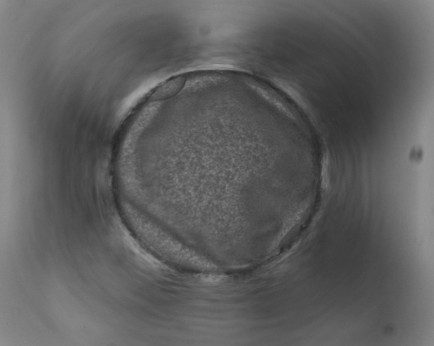 X0000112421452200909041401