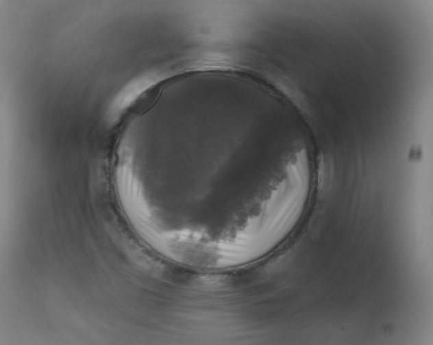 X0000112421453200909041401