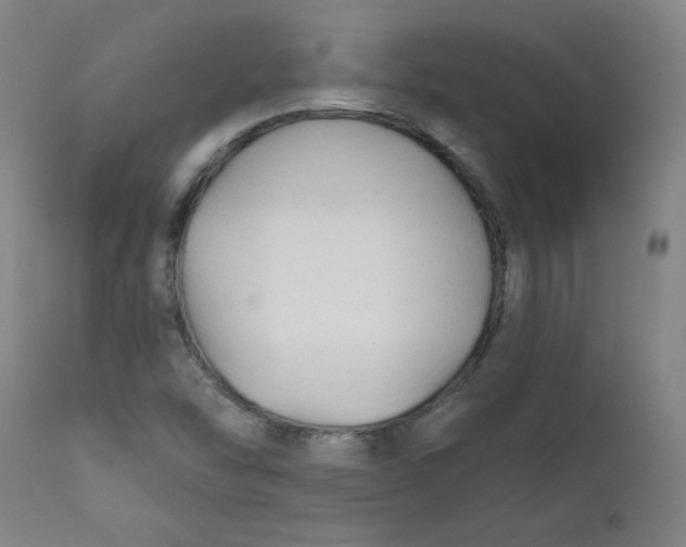 X0000112421454200909041401