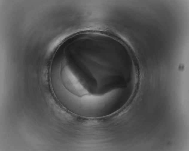 X0000112421455200909041401