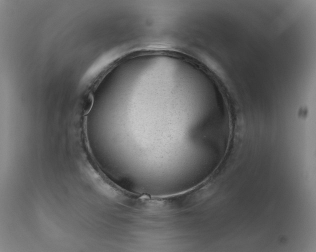 X0000112421456200909041401