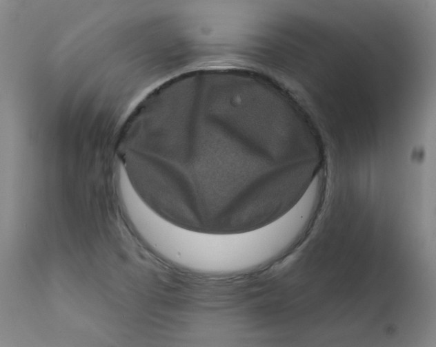 X0000112421457200909041401