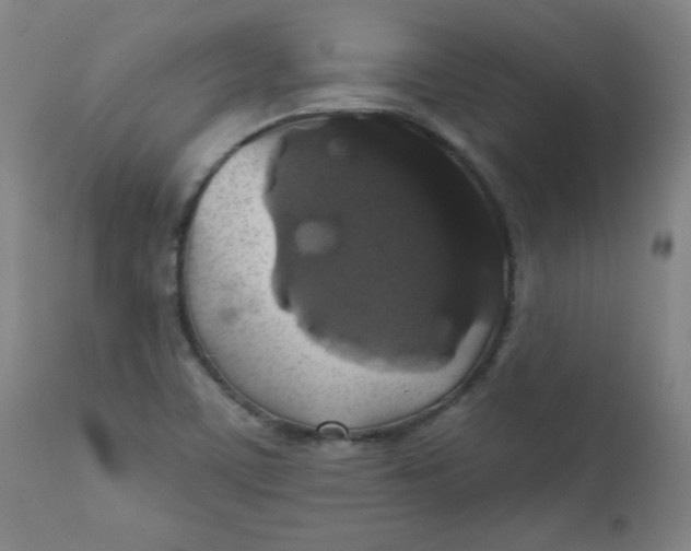 X0000112421459200909041401