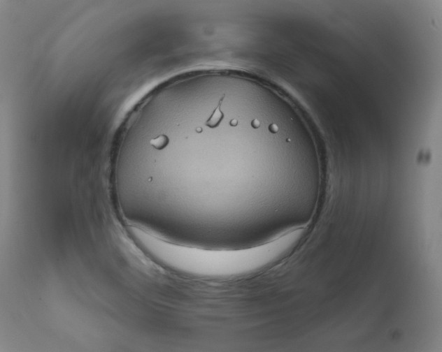 X0000112421460200909041401