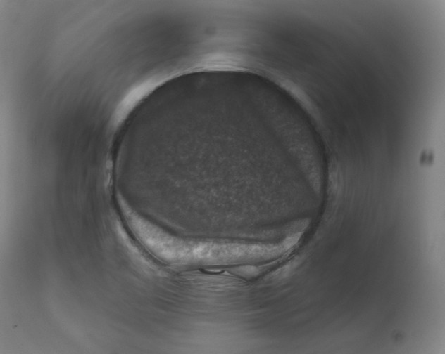 X0000112421461200909041401