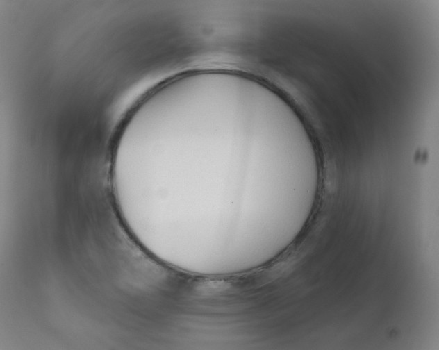 X0000112421462200909041401