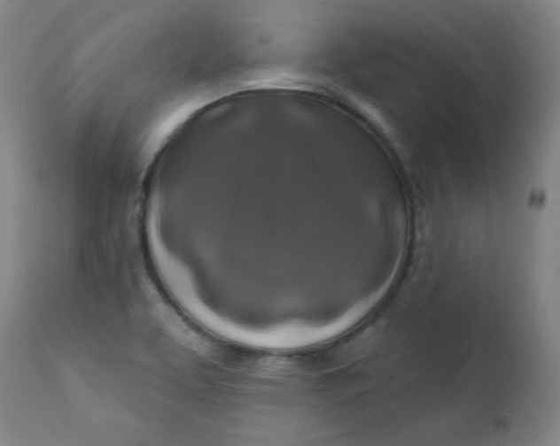 X0000112421463200909041401